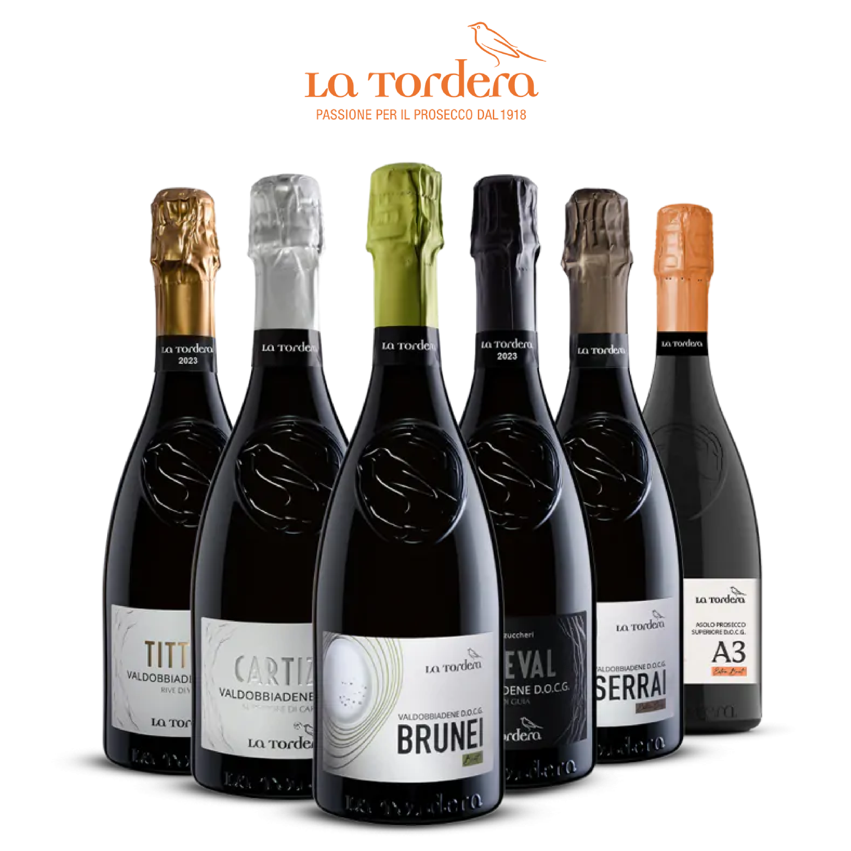 Promo La Tordera Promo La Tordera